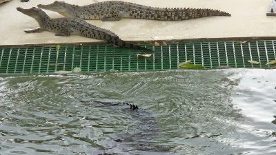 Norden Australiens, Darwin