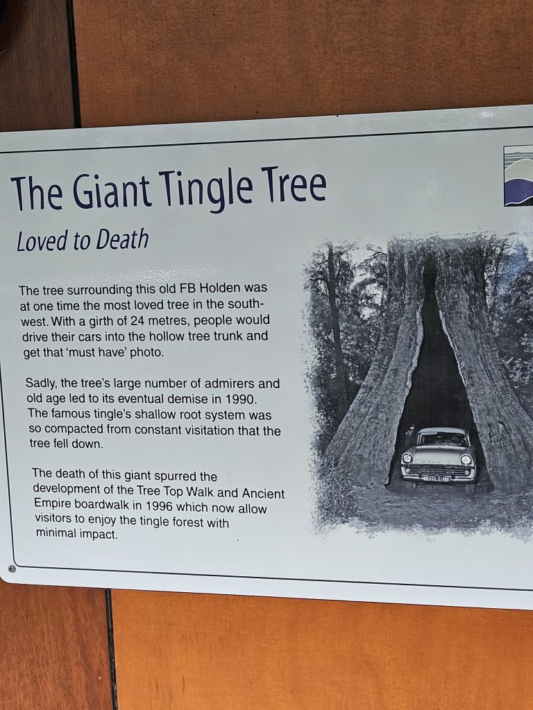 Valley of the Giants, Wald der Giganten