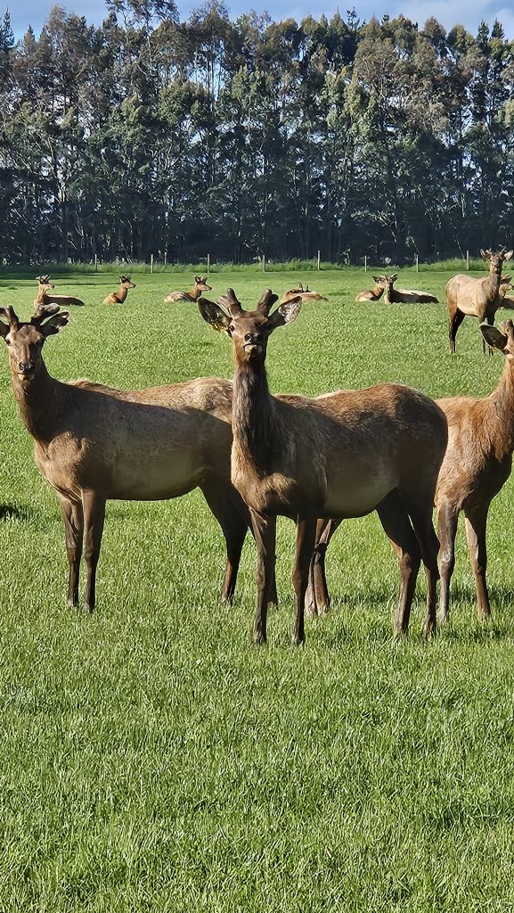 Das war unser einfachstes und kühlstes Zimmer.
Wir freuen uns auf jedes Hotel mit Toilette und