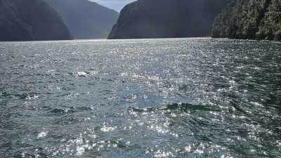 Auf dem Katamaran in Milford Sound