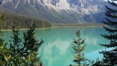 Einladungen für nächste Lesungen