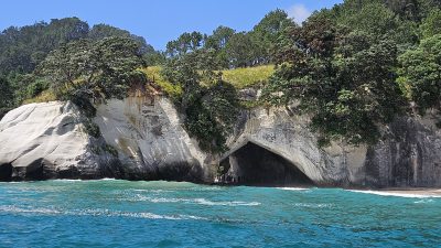 In Coromandel