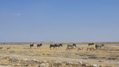 Etosha Nationalpark